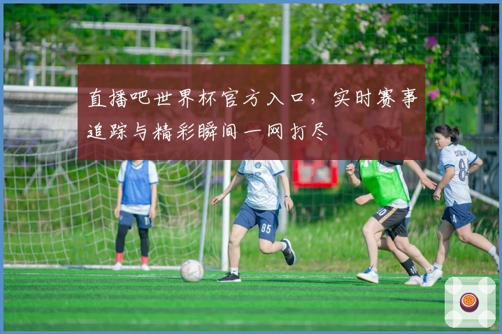 直播吧世界杯官方入口，实时赛事追踪与精彩瞬间一网打尽